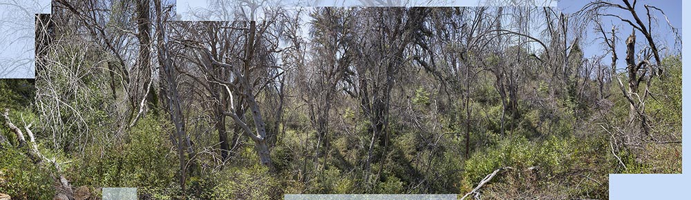 William Heise State Park after fire