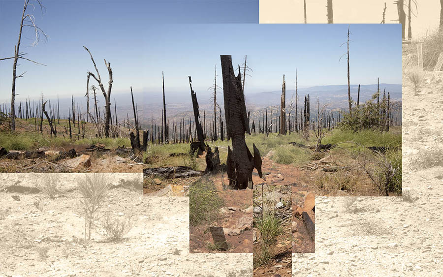 Middle Peak- Cuyamaca State Park