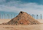 Cleopatra (a pyramid shaped dirt pile surrounded by palm trees